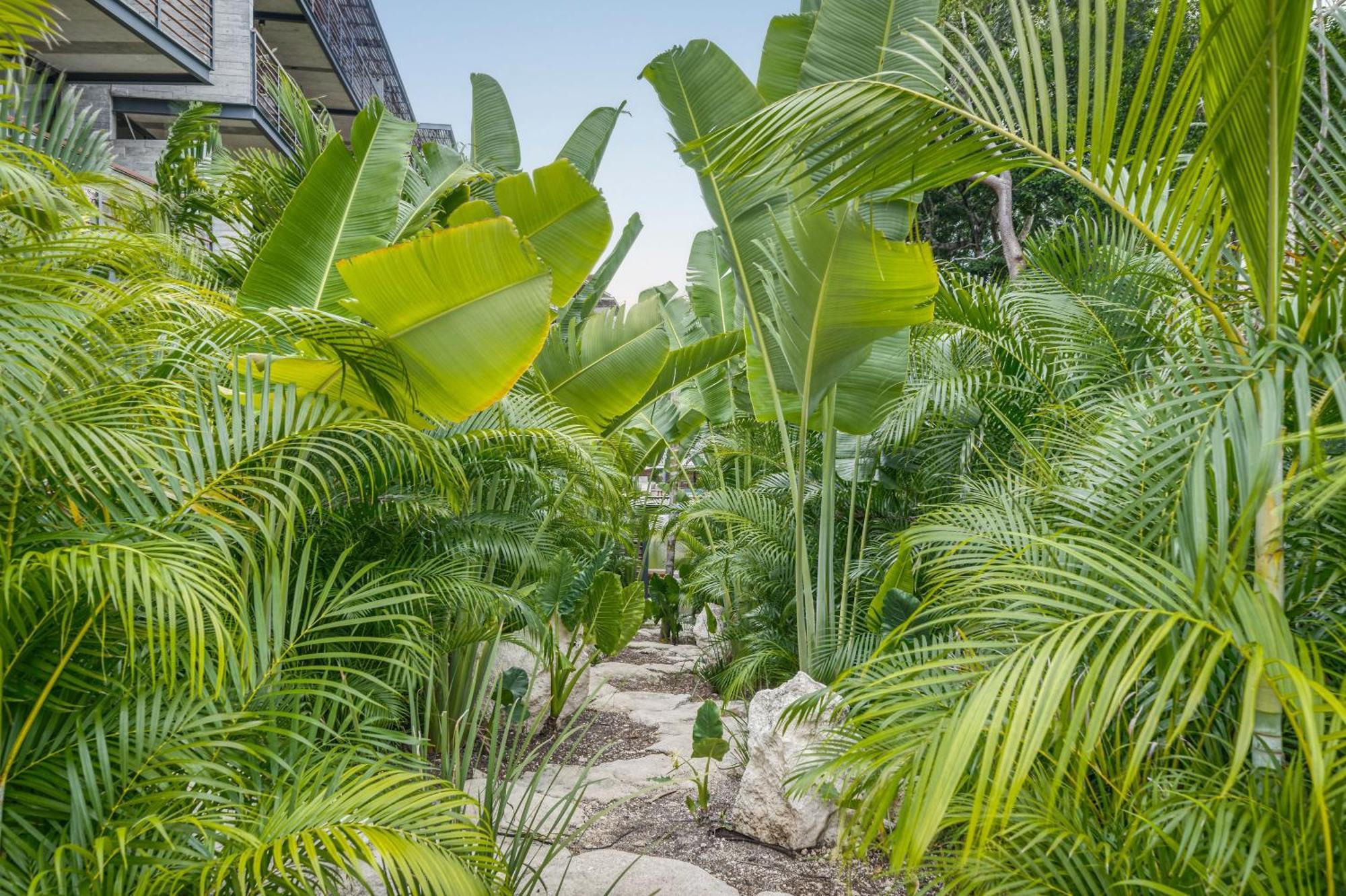 Waterworld Tulum 2Br W Cenote -Lagoons - Big Gym Dış mekan fotoğraf